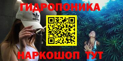 мяу мяу мука Баксан