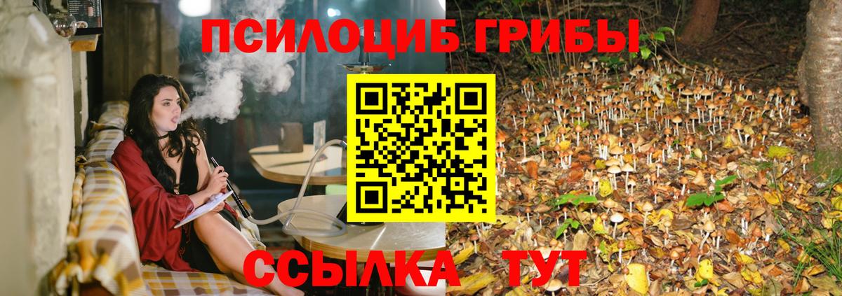 Псилоцибиновые грибы Psilocybine cubensis  Галлюциногенные грибы мицелий  Вход с VPN  Таганрог 