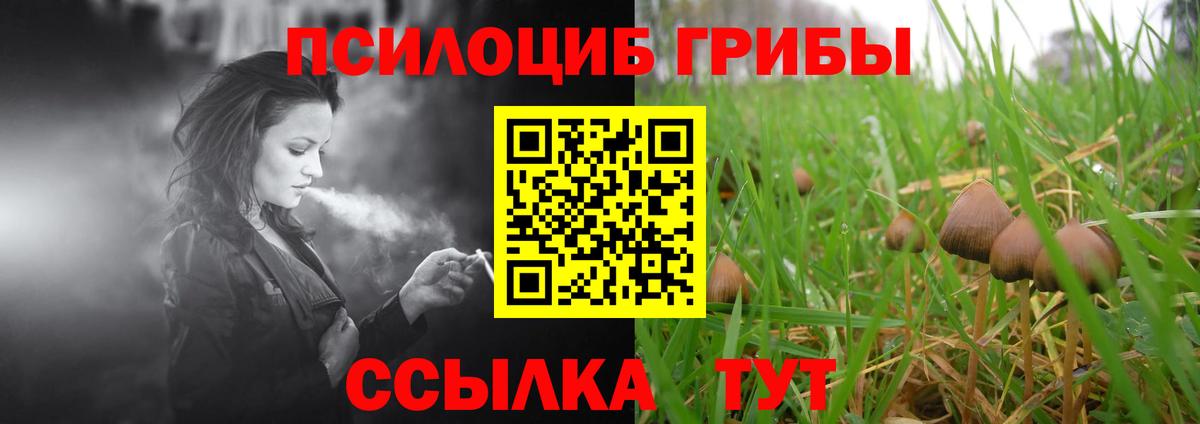 Псилоцибиновые грибы Magic Shrooms Таганрог
